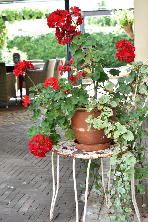 Bed and Breakfast De Oude Limonadefabriek Beek  Exterior foto